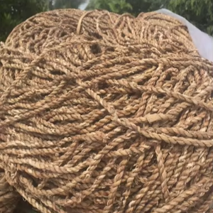 Corde en jacinthe d'eau naturelle avec des qualités durables pour l'emballage de meubles et des utilisations décoratives - Product Image 1