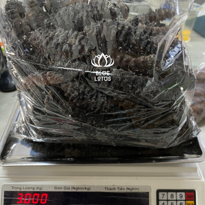 ÉPINES NOIRES SÉCHÉES CONCOMBRE DE MER DE LOTUS BLEU Poisson séché Fruits de mer secs (+ 84 961066080 Mme Heidi) - Product Image 6