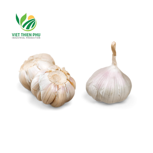 Ajo natural de alta calidad 100%, rebanada de fruta orgánica fresca y congelada certificada IQF de Vietnam, el mejor precio de exportación - Product Image 4