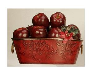 Jardinière en fer classique de qualité supérieure avec un design minimaliste pour les jardins d'herbes aromatiques d'intérieur forme et taille personnalisées à bon prix - Product Image 1