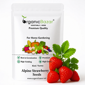 Sachets personnalisés de fraises alpines avec logo pour centre de jardinage et e-commerce – Sachets de fraises alpines - Product Image 1