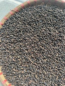 Polvo de pimienta negra/blanca picante de Vietnam/Pinhead Light Berry Calidad Premium de TOP Vietnam Factory - WS: + 84-84-915355383 - Product Image 6