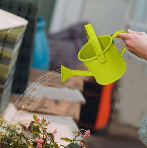 2025 maison artisanat exportations luxe vert clair métal arrosoir Unique maison jardin balcon poudre revêtement de haute qualité - Product Image 1