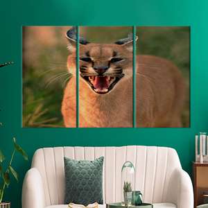 Impresión en lienzo de elegante caracal salvaje - Arte moderno para pared, 3P: estirado sobre lienzo - Product Image 1