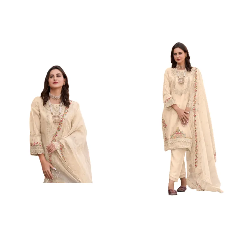 Abito da sposa in Organza più venduto all'ingrosso abito da sposa pakistano indiano i migliori abiti da sposa per le donne