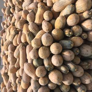 Citrouille surgelée la plus vendue, entière ou coupée, provenant du meilleur fournisseur vietnamien - Product Image 6