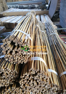 ไม้ไผ่เป็นมิตรกับสิ่งแวดล้อม/ เสาไม้ไผ่/ ไม้ไผ่สำหรับค้ำต้นไม้ในสวน ราคาถูกที่สุดจาก ECO2GO เวียดนาม - Product Image 2