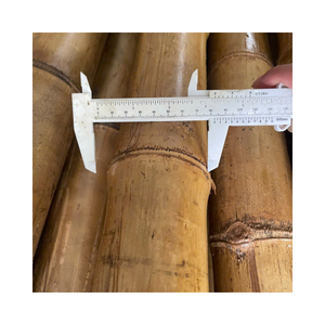 Poteau de construction en bambou de qualité supérieure bâton de bambou épais fiable et solide du Vietnam - Product Image 1