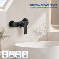 Robinet de douche mural moderne à poignée unique en laiton poli, mitigeur de bain à jet doux pour usage hôtelier OEM ODM