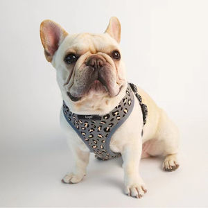 Meilleur prix Harnais pour chien imprimé personnalisé respirant 2-en-1 réversible maille souple caractéristique réfléchissante Nylon matériel grossistes - Product Image 3