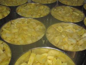 Sensation d'ananas en conserve: les fruits tropicaux du Vietnam apportent de la douceur à vos plats, idéaux pour les collations et les desserts à la mode - Product Image 6