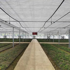 Commercial Multi Span Film <b>Greenhouse</b> for Large Scale Nursery Projects with Professional Design and Site Support - Product Image 6