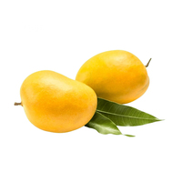 Best verkochte Herbojit International Alphonso Mango Super Grade verse verpakking 3kg Authentieke natuurlijke smaak Beschikbaar