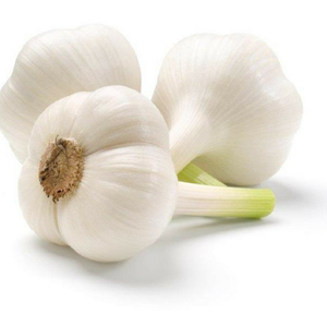 WHOLESALE <b>FRESH</b> <b>GARLIC</b> / VIETNAMESE WHITE <b>GARLIC</b> CHEAP PRICE HIGH QUALITY EXPORT - Product Image 3