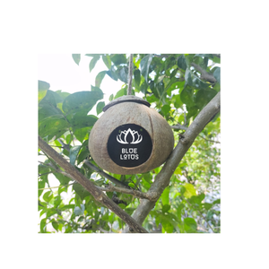 Maison d'oiseau en coquille de noix de coco Eco Artisanat de haute qualité disponible - Product Image 1