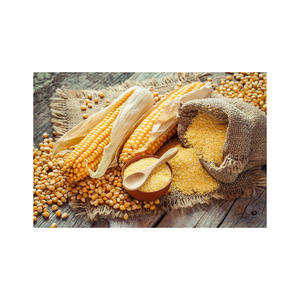 Prix de gros Fournisseur de maïs jaune de haute qualité pour l'alimentation animale - Product Image 1