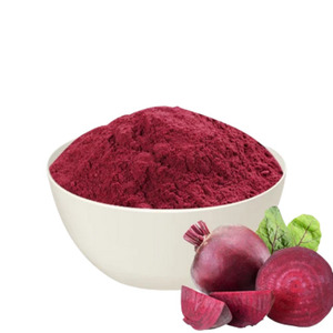 Polvo de raíz de remolacha a granel (Beta vulgaris) para suministro de ingredientes alimentarios - Product Image 4
