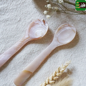 Cuchara de concha ecológica hecha a mano Plato pequeño Presentación Exhibición culinaria Capacidad de 10ml Hecho de concha de perla natural Hecho en Vietnam - Product Image 1