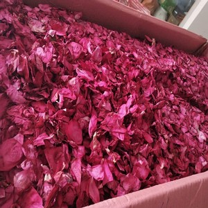 Hot Sale <b>Wedding</b> <b>Confetti</b> Bags Natural Rose Buds Dried Petals <b>Wedding</b> Party Dry Rose Petals Decoration 99 Gold Data - Product Image 4