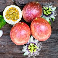 Vietnam Hoge Kwaliteit Verse Passievrucht Voor Sap En Dessert