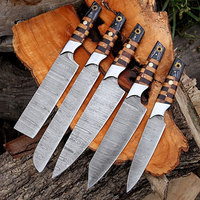 Ensemble de 5 couteaux de cuisine professionnels avec lames en acier de damas, fournisseur Direct d'usine, ensembles de Chef en acier de damas