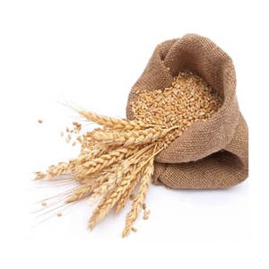 Grains de malt d'orge dorée de haute qualité, malt d'orge premium pour la brasserie, le malting et l'alimentation animale - Product Image 3