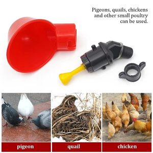 <span class=keywords><strong>Bebedero</strong></span> Automático Duradero para Aves de Corral, Pollos, Patos, Codornices, Pavos y Ganado, Suministros para Granjas Avícolas, Envío Rápido - Product Image 4