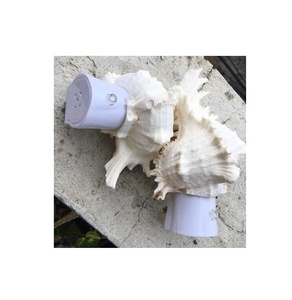 เปลือกหอยเปลือกหอยธรรมชาติคละแบบสำหรับเครื่องประดับตู้ปลาการออกแบบตกแต่งภายในธีมมหาสมุทรจากเวียดนาม - Product Image 1