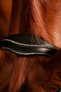 Bride de cheval de luxe en cuir de qualité supérieure Design anatomique Grossiste et fabricant indien de produits pour chevaux de qualité supérieure - Product Image 3