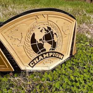 Ceinture de championnat de lutte personnalisée professionnelle, design léger en métal, couleur et taille personnalisées, nom et logo personnalisés, marque personnalisée - Product Image 4