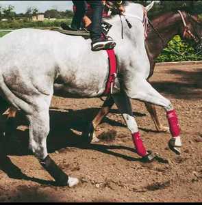 Bota de caballo duradera de neopreno de alta calidad de nuevo diseño 2025, vendajes de Polo de Color personalizados para seguridad de piernas de equitación - Product Image 6