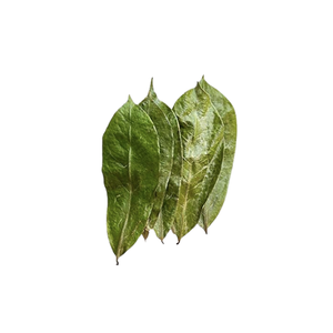 100% feuilles de corossol séchées naturelles de Graviola du Vietnam de haute qualité 2024 - Product Image 6