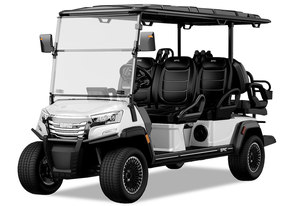 Carros de golf usados a gas ICON a la venta - Product Image 3