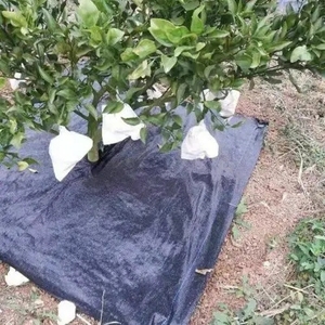 Toile géotextile tissée anti-UV et anti-herbe pour l'agriculture et l'aménagement paysager, en polyester et PP, à prix usine - Product Image 2