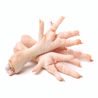 Pieds de poulet congelés de haute qualité et pattes de poulet halal pour l'approvisionnement alimentaire international