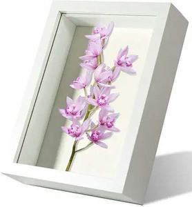 กรอบรูปกล่อง3D เงาไม้หลายขนาดสำหรับตกแต่งบ้านแบบ DIY - Product Image 3