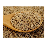 Graines de cumin d'origine de haute qualité Graines Jeera Arôme fort Goût naturel Épice sans gluten Fournisseur en gros d'exportation