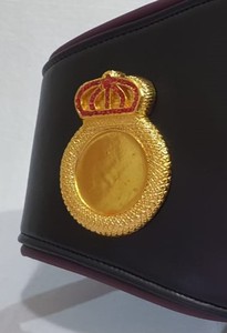 เข็มขัดแชมป์มวยที่กำหนดเอง! ใหม่เข็มขัดมวยวินนิ่ง - Product Image 2