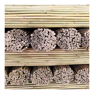Poteaux de bambou Vietnam 2m-5m-Bâtons de canne naturels bruts de taille personnalisée en gros pour la construction et le soutien de jardin-FBP1025 - Product Image 1