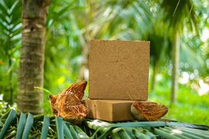 Exporter de l'Inde la meilleure qualité de tourbe de coco, une fibre naturelle fabriquée à partir de cosses de noix de coco avec emballage personnalisé et meilleur prix - Product Image 3