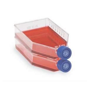 Nunc Easyflask 225cm Solid Cap for <b>Laboratory</b> and Research Flasks - Product Image 3