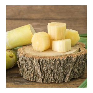 Tranches de canne à sucre congelées du Vietnam pelées propres pour les usines de smoothie et de collations - Product Image 6