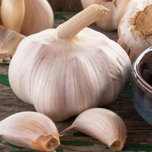 กระเทียมสีขาวสดใหม่กระเทียมเวียดนามเกรดธรรมดา - Product Image 1