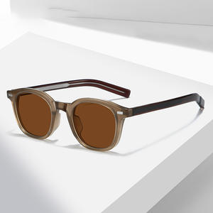 Lunettes de soleil épaisses en acétate pour femmes 2025, lunettes de soleil rétro pour hommes, lunettes de soleil vintage à la mode, ovales, polarisées UV - Product Image 2