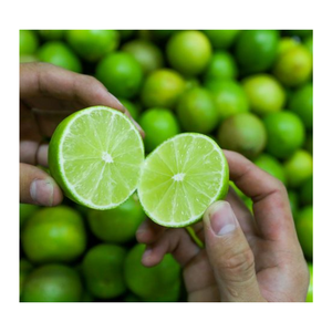 LIME BEARSS FRAIS EN GROS-GRADE BIOLOGIQUE pour EXPORT-CARYLN - Product Image 3