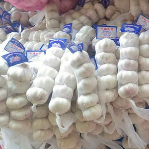 Nuovo raccolto cinese aglio fresco per il commercio all'ingrosso a basso prezzo normale aglio bianco di buona qualità Bawang Putih Ajo Chino Ail - Product Image 1