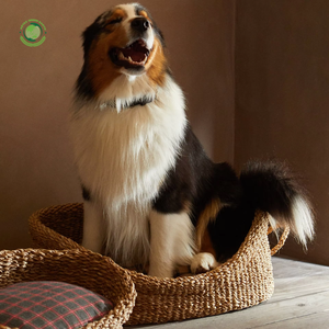 Animal de compagnie en jonc de mer tissé naturel, accessoires pour animaux de compagnie fabriqués à partir de matériaux naturels et décoration de la maison élégante, vente en gros. - Product Image 5