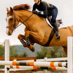 2024 chemise d'équitation de qualité supérieure rayé à manches longues ample été respirant chemise d'équitation - Product Image 5