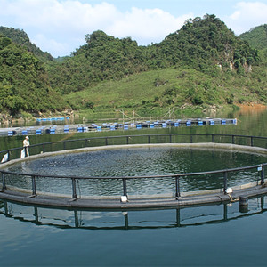Cage flottante circulaire écologique de mer de piège d'aquaculture en HDPE de pisciculture du fabricant vietnamien de vente chaude - Product Image 5