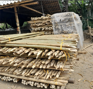 Poteaux en bambou naturel du Vietnam, idéaux pour le jardinage en plein air et la décoration intérieure. - Product Image 5